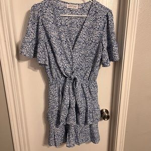 Petal and Pup Ruffle Dress